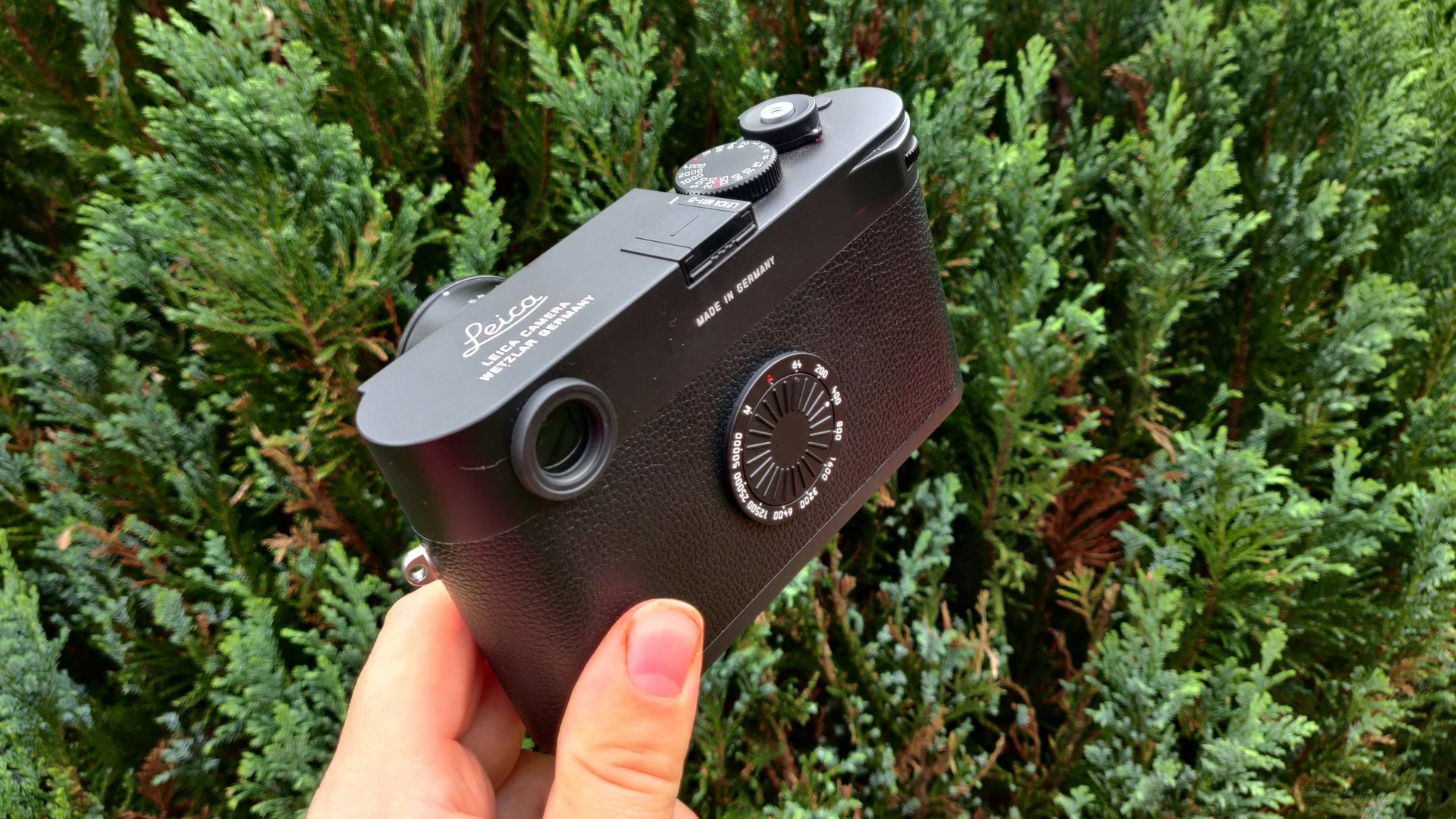 Лучшие камеры Leica в 2026 году: от классических дальномеров до беззеркальных систем картинка Лучшие камеры Leica в 2026 году: гид по выбору | DGL.RU
