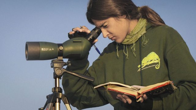 Подзорная труба Nikon: лучшие модели 2026 | DGL.RU