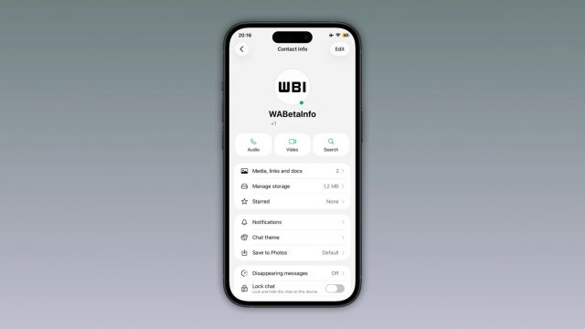 WhatsApp на iOS: зеленый индикатор статуса | DGL.RU