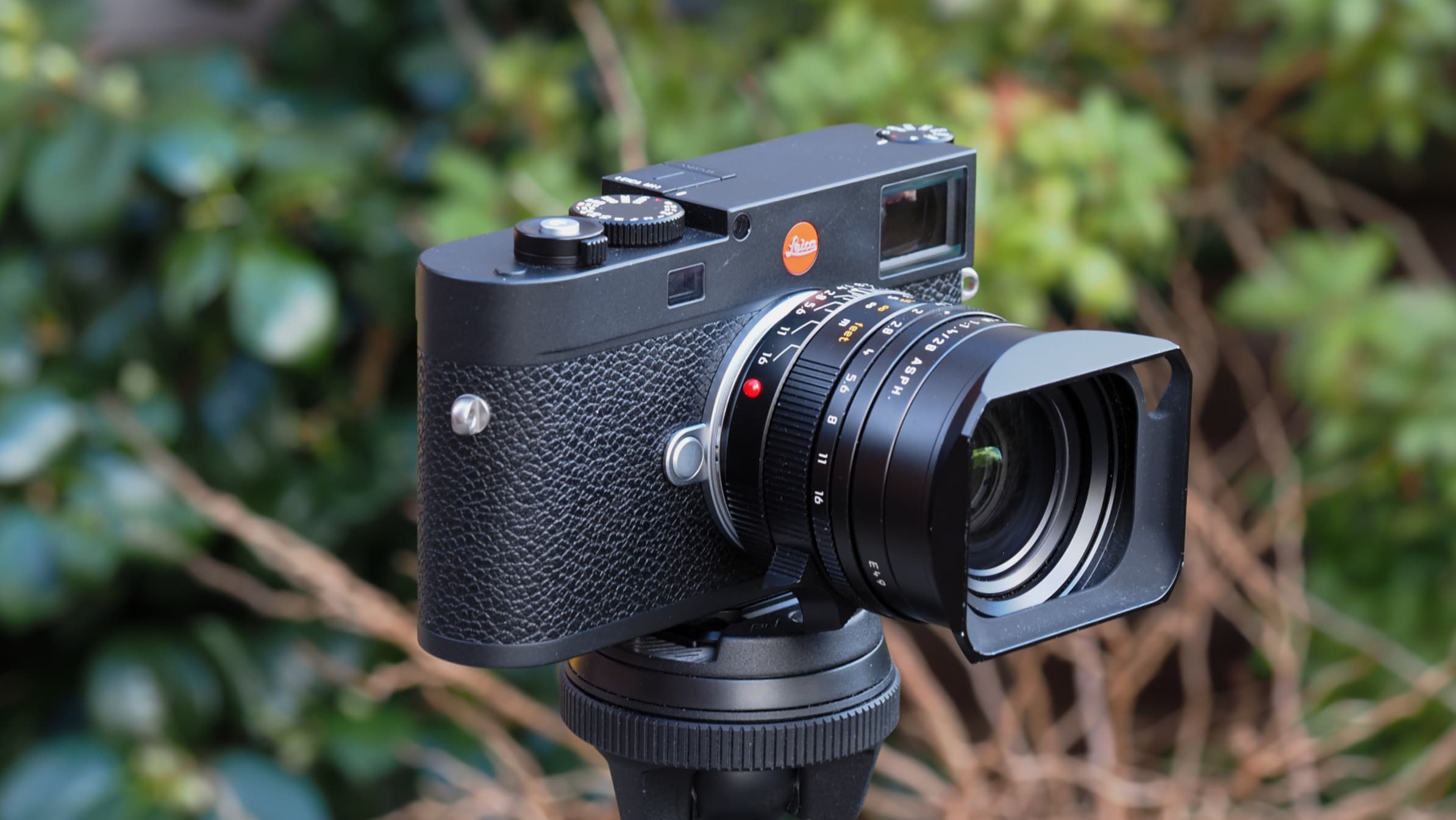 Лучшие камеры Leica в 2026 году: от классических дальномеров до беззеркальных систем картинка Лучшие камеры Leica в 2026 году: гид по выбору | DGL.RU
