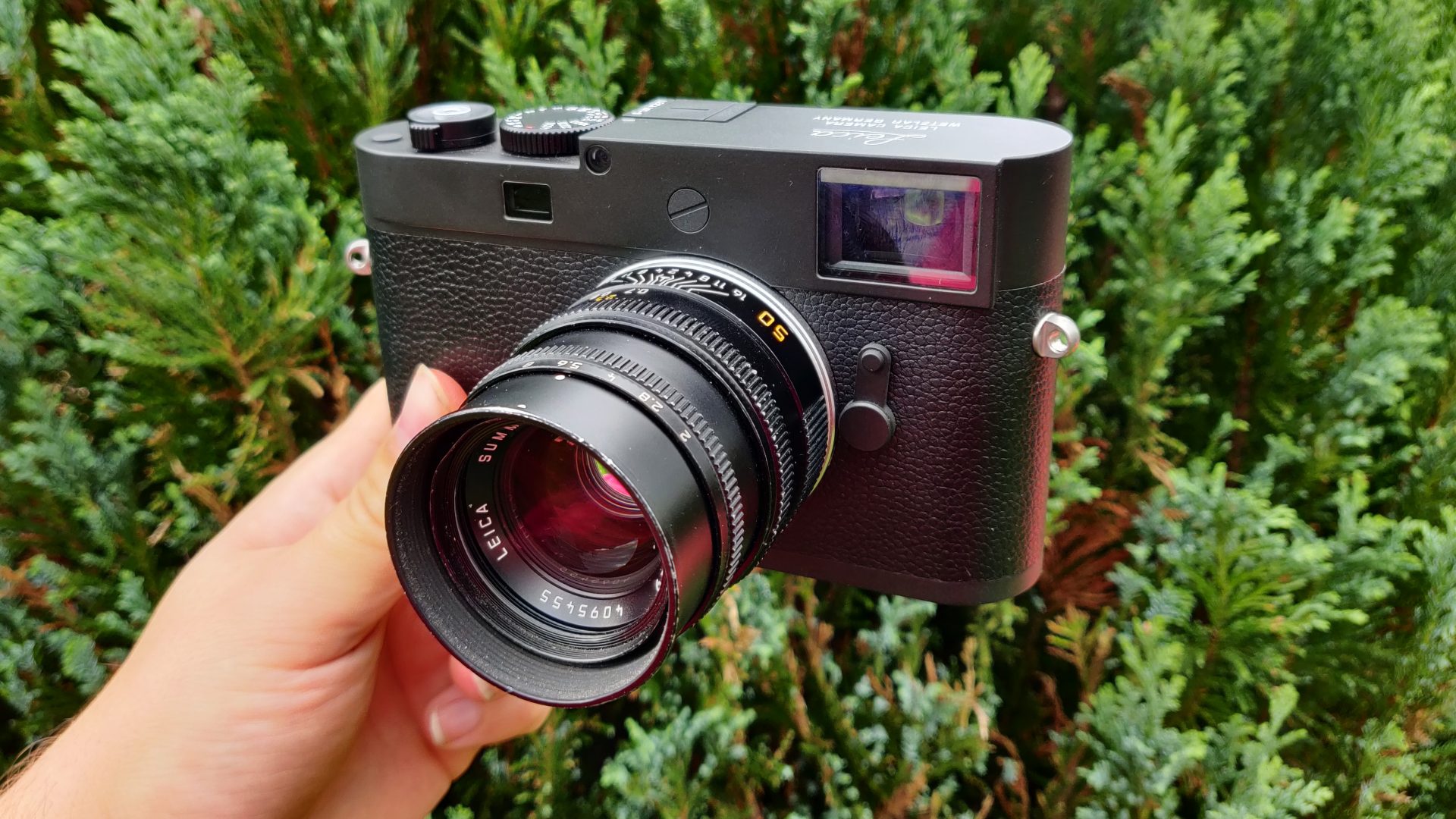 Лучшие камеры Leica в 2026 году: от классических дальномеров до беззеркальных систем картинка Лучшие камеры Leica в 2026 году: гид по выбору | DGL.RU