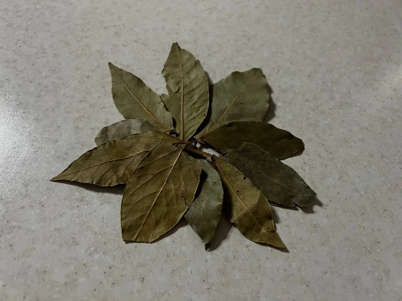 Бельё как из прачечной: 4 лавровых листа в стиралку — и можно забыть о кондиционере и пятновыводителе