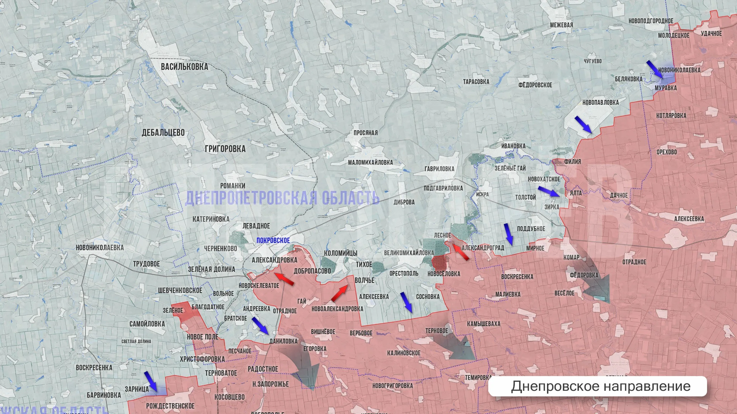 Царёв: Фронтовая сводка 29 августа 2026