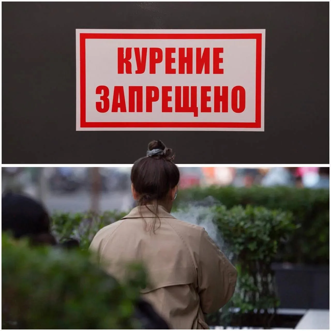 Только пять регионов воспользовались возможностью запретить розничную продажу вейпов и жидкостей к ним, заявил Володин