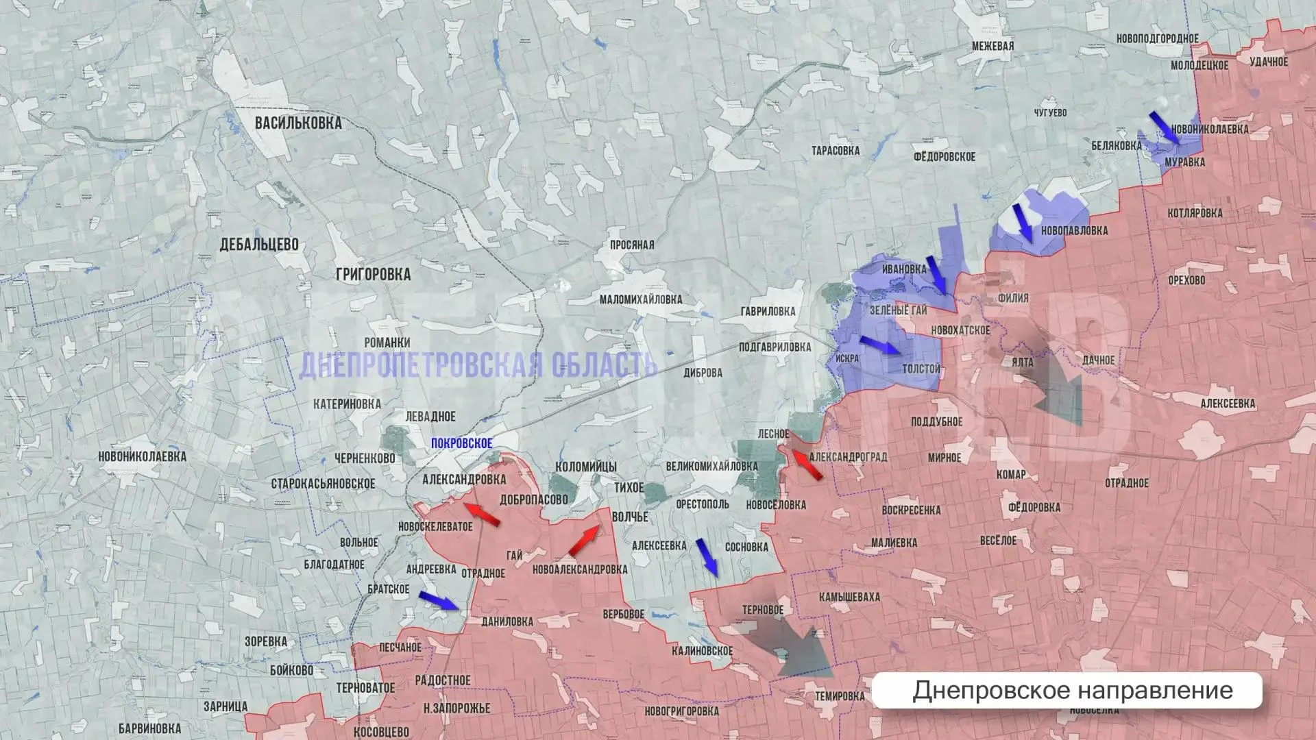 Царёв: Фронтовая сводка 4 августа 2026 года