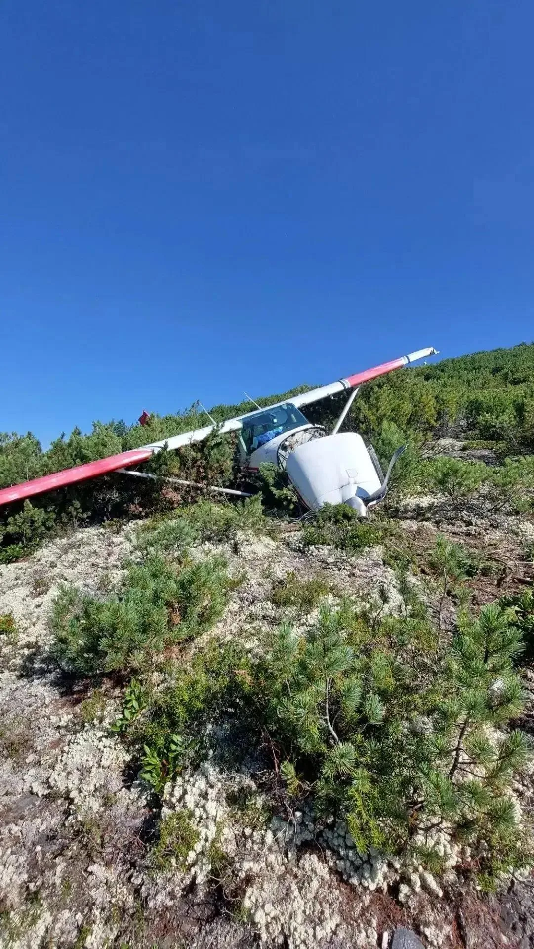 Двое суток в тайге. Первые кадры с места крушения Cessna 182