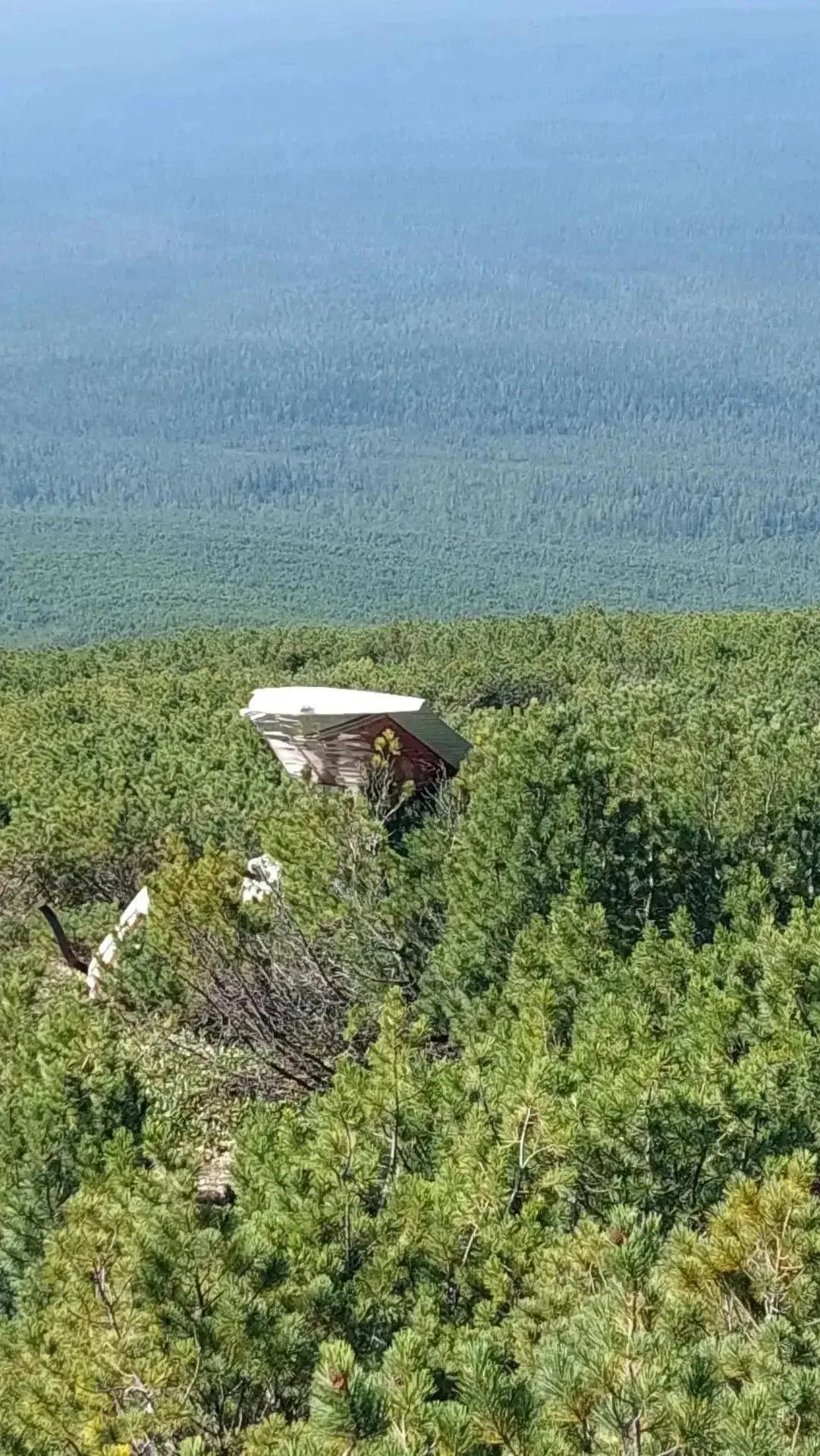 Двое суток в тайге. Первые кадры с места крушения Cessna 182