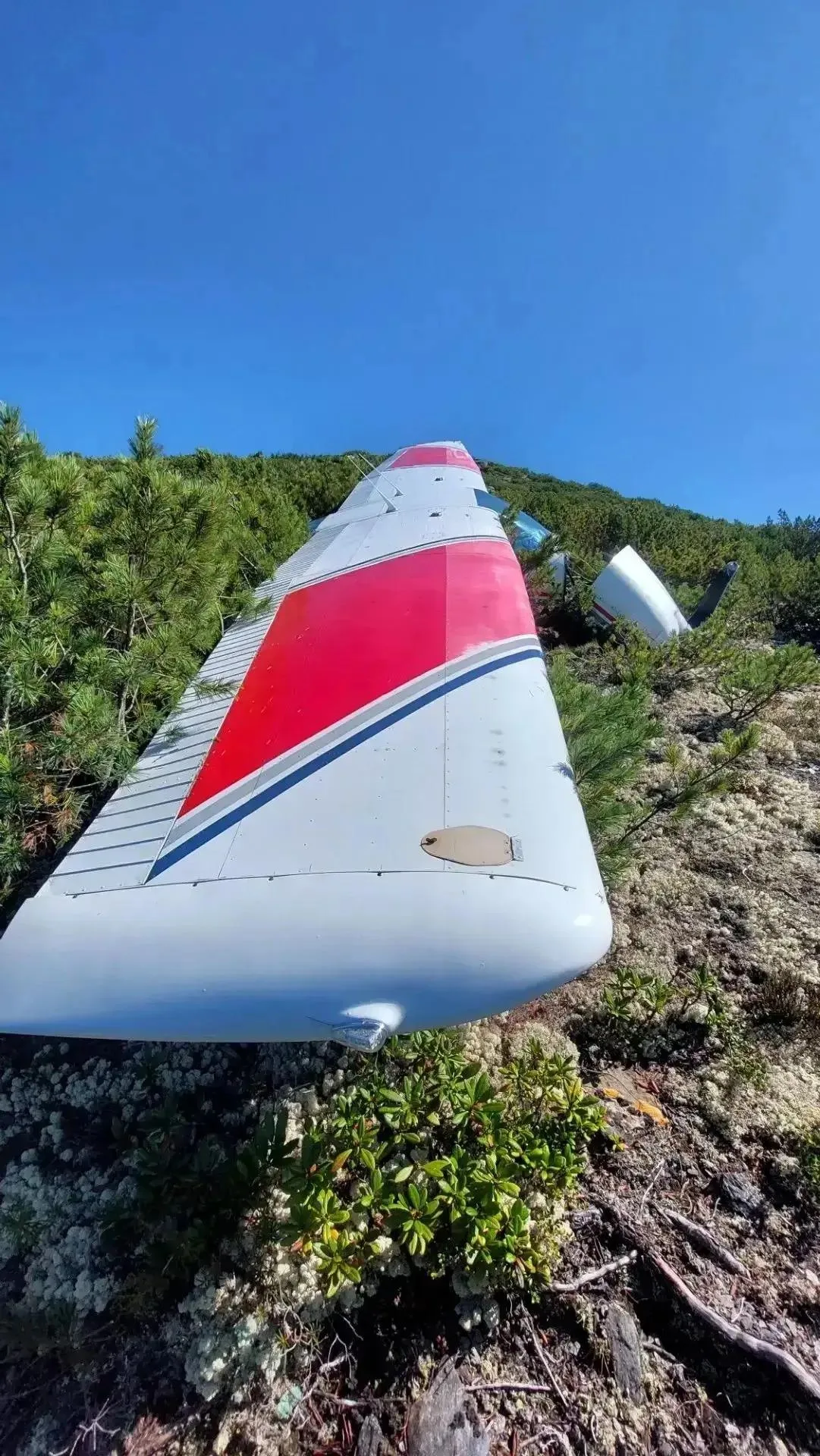 Двое суток в тайге. Первые кадры с места крушения Cessna 182