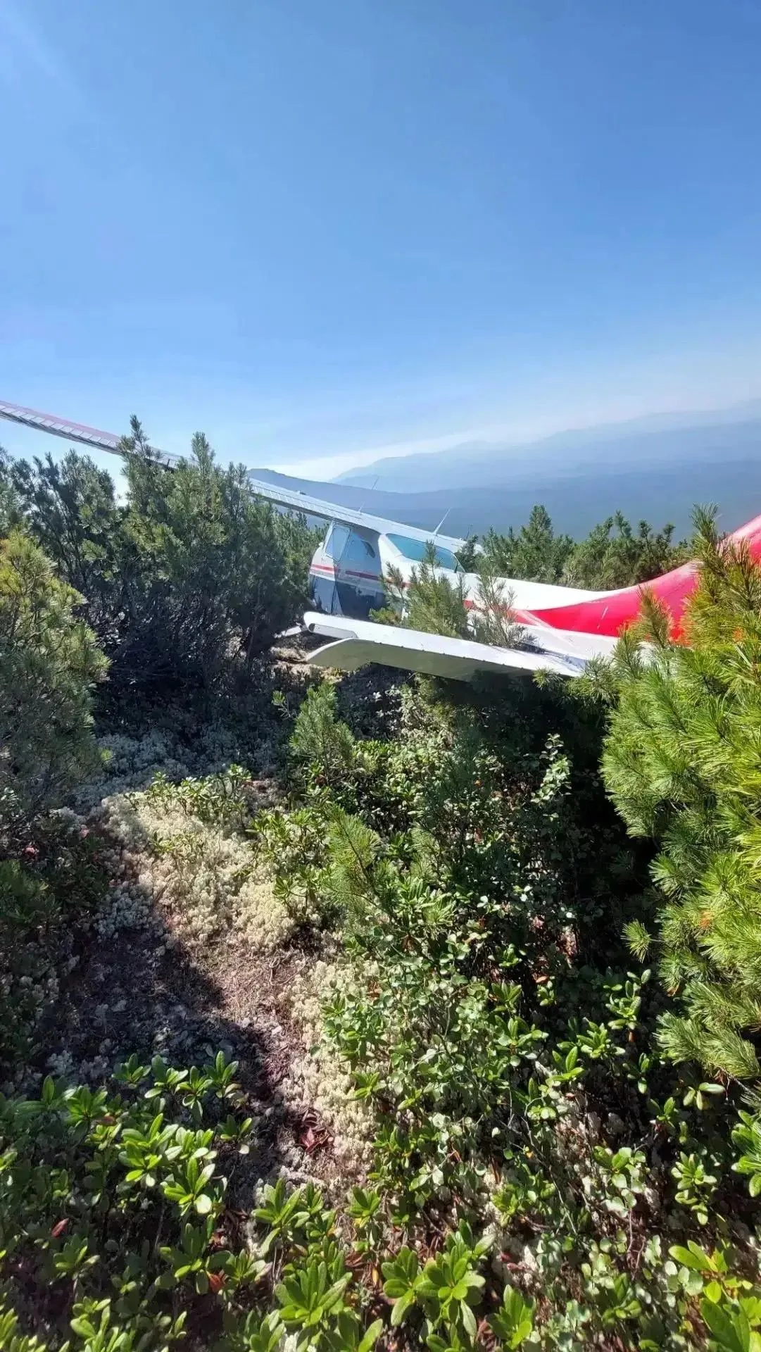 Двое суток в тайге. Первые кадры с места крушения Cessna 182