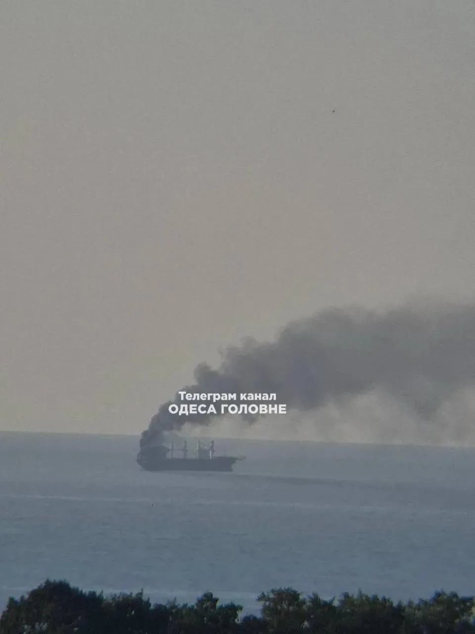 В акватории Черного моря уничтожены три сухогруза, перевозившие грузы военного назначения для ВСУ — Минобороны РФ