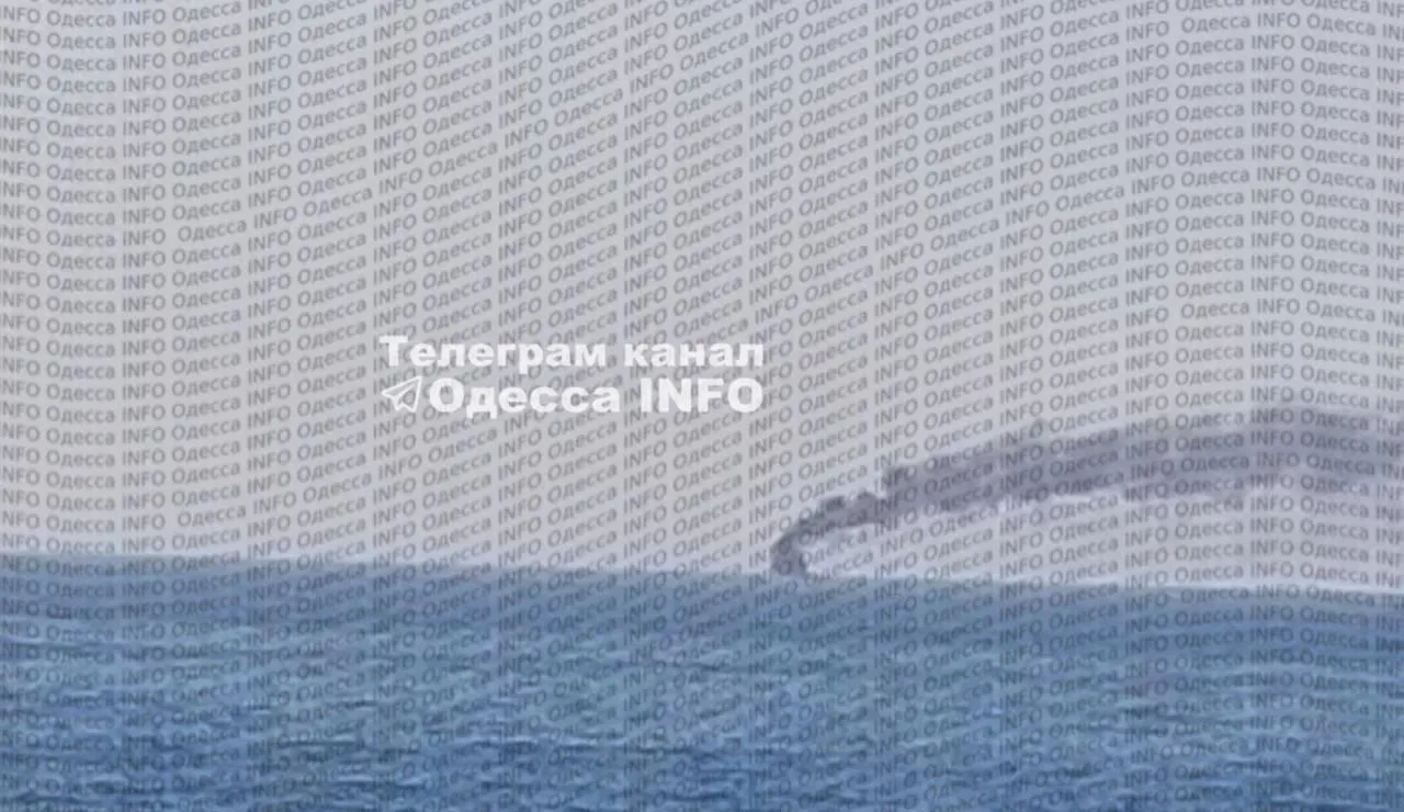 В акватории Черного моря уничтожены три сухогруза, перевозившие грузы военного назначения для ВСУ — Минобороны РФ