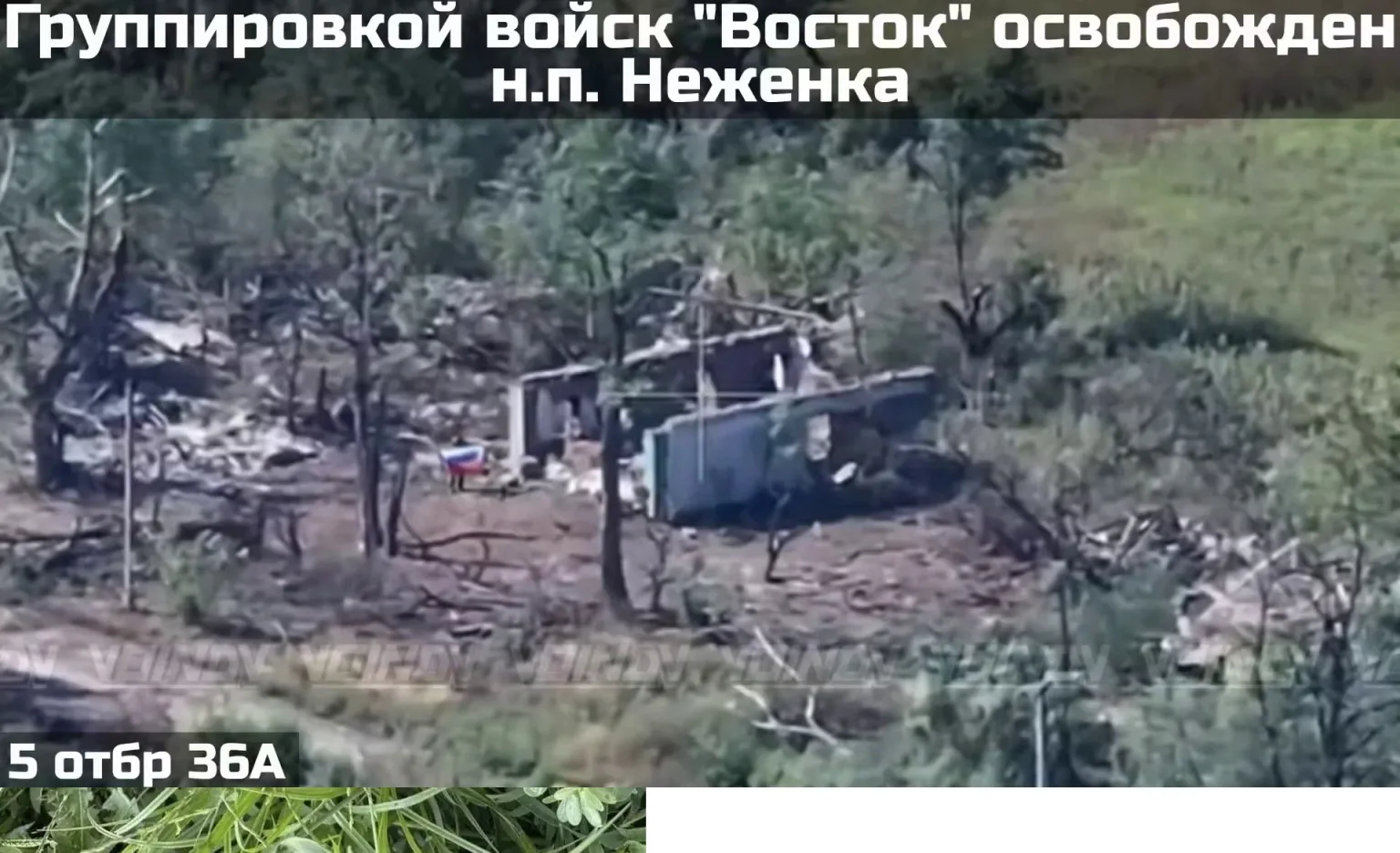 https://podolyaka.ru/wp-content/uploads/2026/08/447-6-1536x936.webp