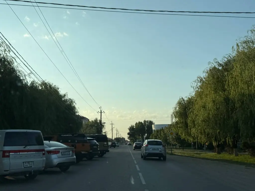 С номера исчезла краска: юрист рассказал, когда водителю выпишут штраф, а когда — лишат прав