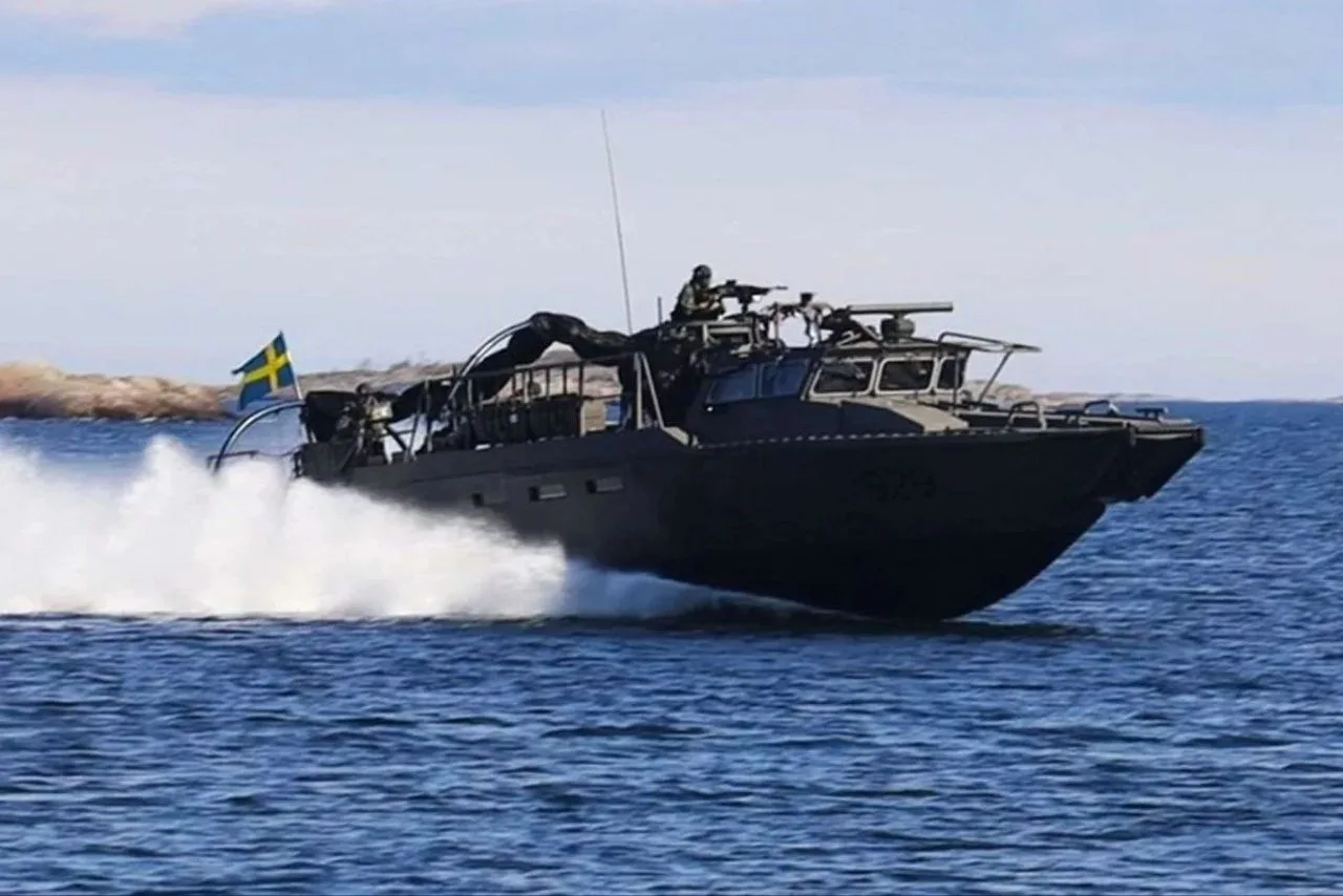 Украина завершила формирование дивизиона ударных катеров CB90