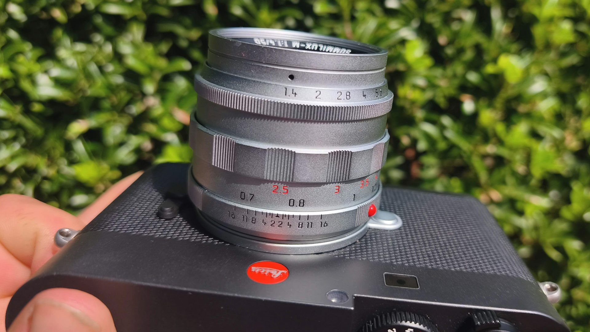 Объектив Leica Summilux-M 50 f/1.4: обзор и тест | DGL.RU