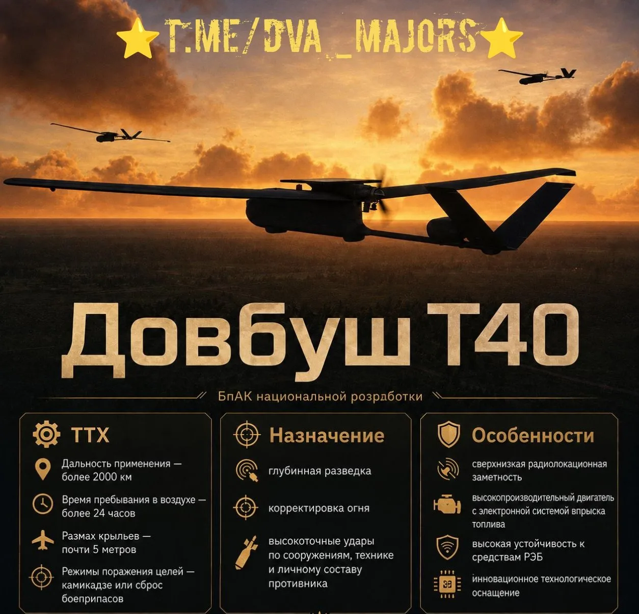 Украина приняла на вооружение новый БПЛА стратегической дальности