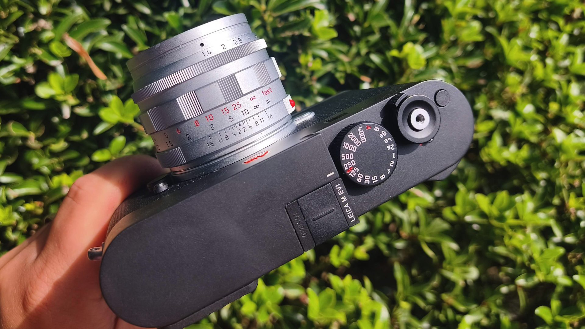 Объектив Leica Summilux-M 50 f/1.4: обзор и тест | DGL.RU