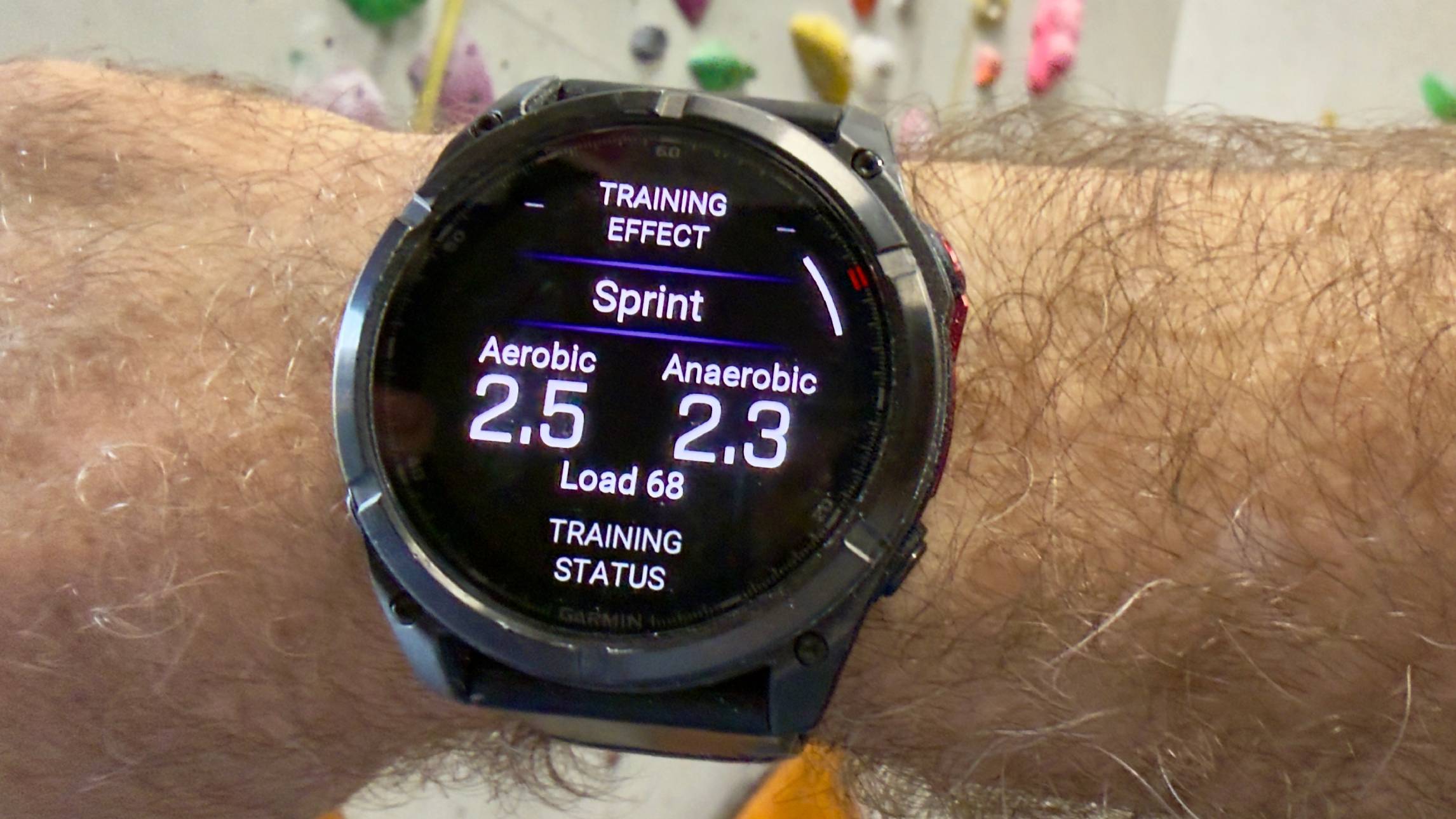 Garmin Fenix Pro 8 microLED - покупка на пять звезд картинка Часы Garmin Fenix 8 Pro microLED: обзор | DGL.RU