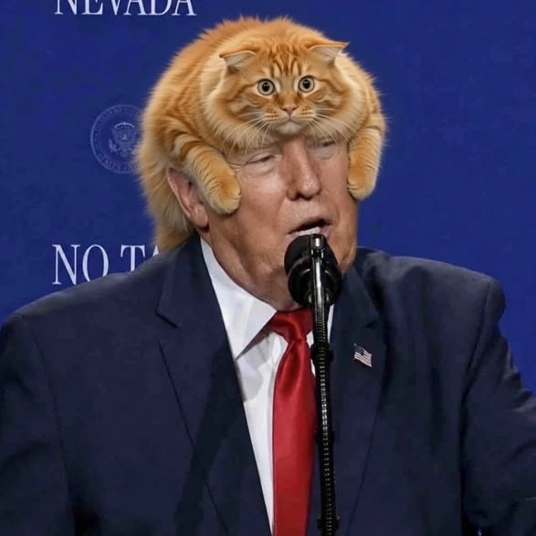 Пользователи соцсетей заметили, что у Трампа появился парик