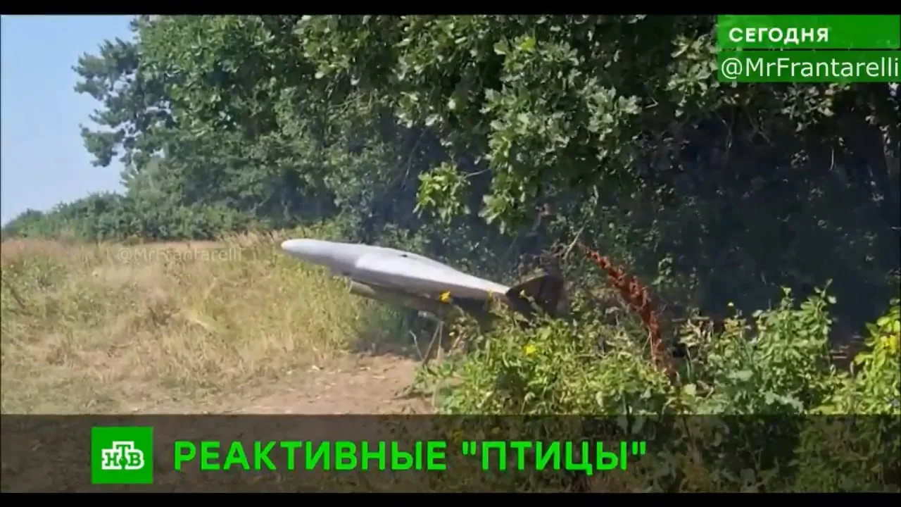 Новая реактивная версия дрона-камикадзе БМ-35 с массой БЧ 10 кг и дальностью полета более 200 км