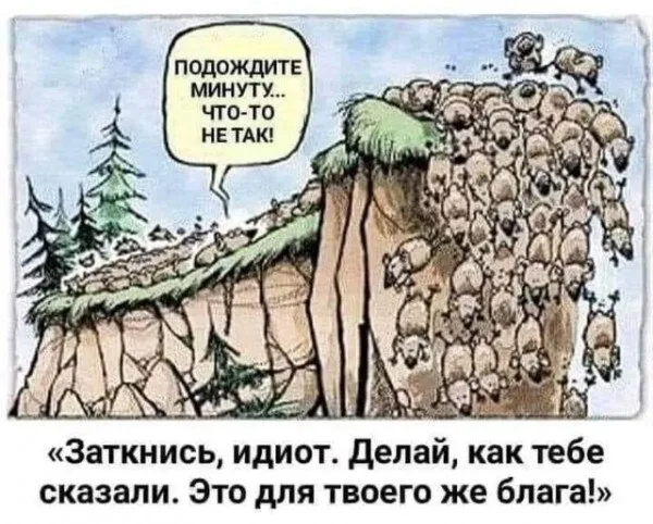 Юрий Подоляка - «Развод по-европейски»: обещания и реальность