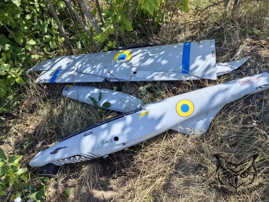 Сбитые и захваченные украинские дроны, на многих намалёвана свастика