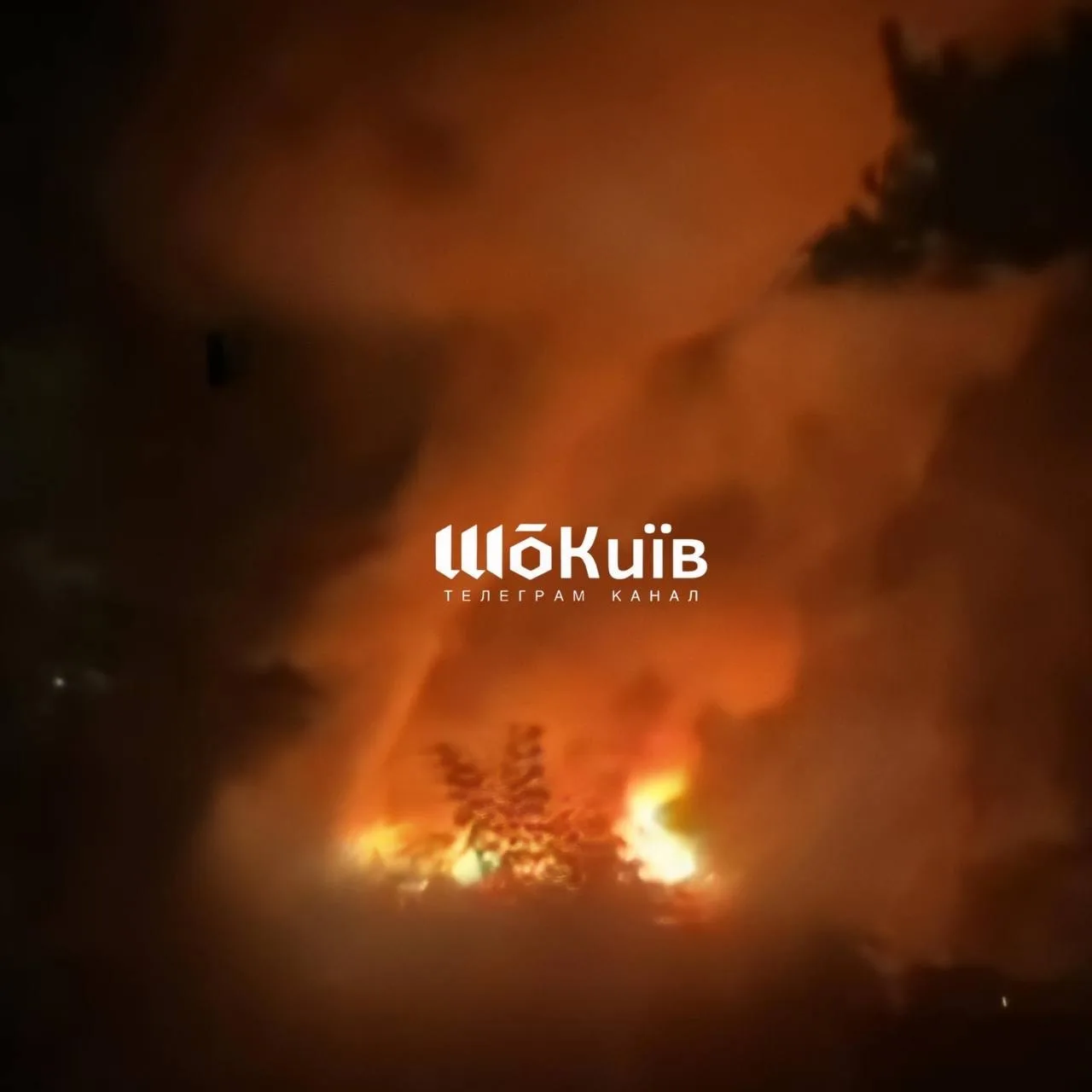 https://podolyaka.ru/wp-content/uploads/2026/09/10-39.webp