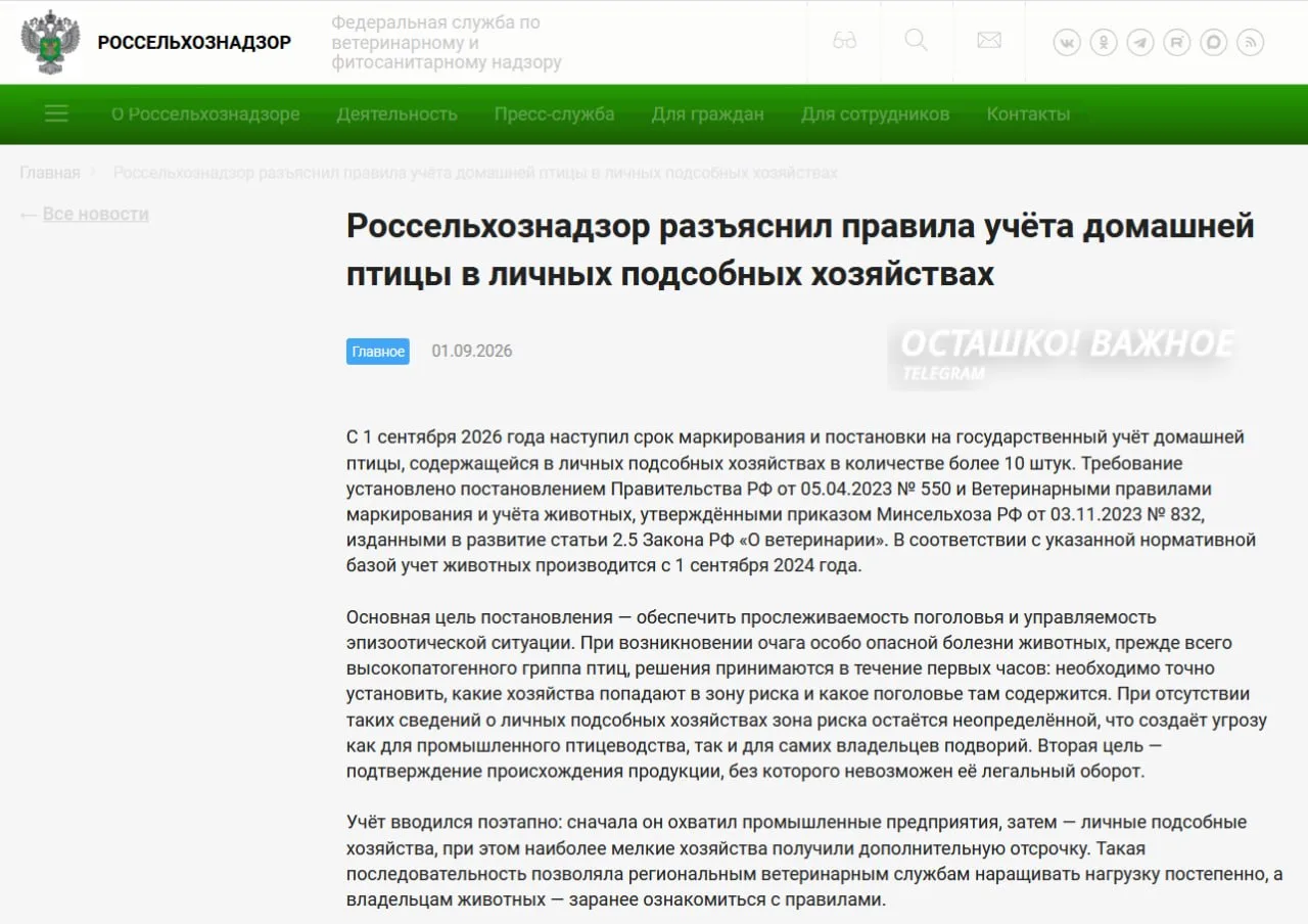 Россельхознадзор просит не носить кур в МФЦ, правительство пересматривает правила учёта животных после скандала