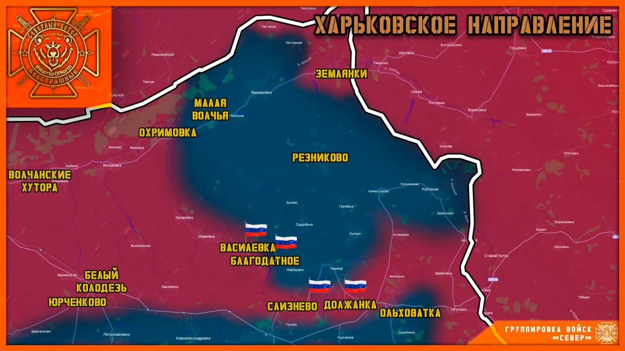 https://podolyaka.ru/wp-content/uploads/2026/09/img_4435.webp