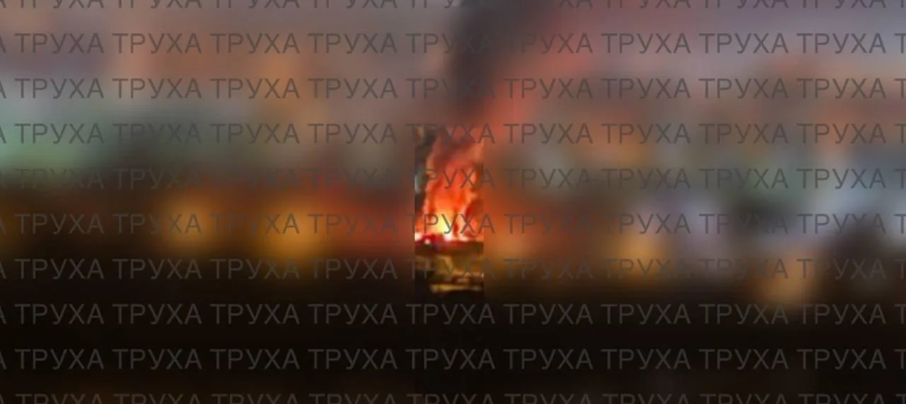https://podolyaka.ru/wp-content/uploads/2026/09/img_5058.webp